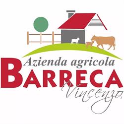 Barreca Vincenzo Azienda Agricola