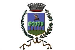 Comune Di San Francesco Al Campo