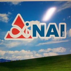 N.a.i. Di Giandomenico Vito Michele & C. S.a.s