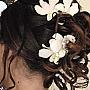 Pacchetti Sposa Studio Luxia