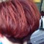 Tintura Capelli Studio Luxia