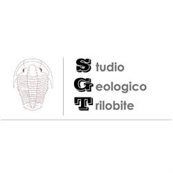 Studio Geologico Trilobite
