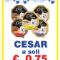 Cesar