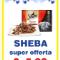 Sheba