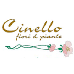 Vivaio Fiori e Piante Garden Cinello