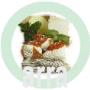I Sapori D'Ogliastra di Arra Vito