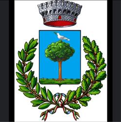 Comune Di Minerbe