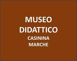 Museo Storico Della Linea Gotica