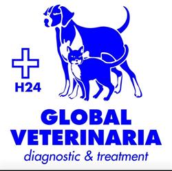 Ambulatorio Veterinario Global Veterinaria 4 Zampe Di F. Capasso