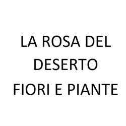 La Rosa Del Deserto Fiori E Piante