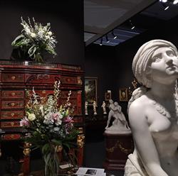 Il Fiore di Maynard Maria Veronica
