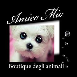 Amico mio di Caldarella Katia