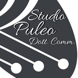 Puleo dr. Santo Commercialista