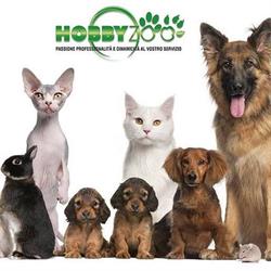 Hobby Zoo