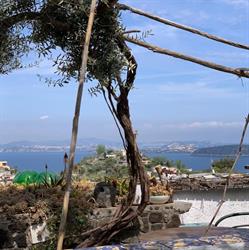La Vigna di Alberto