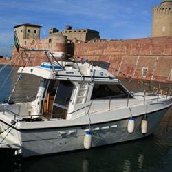 Sport Insieme Livorno Associazione Sport Disabili