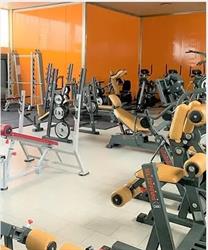Palestra Michelangelo Lodi