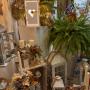 Gallery Professionale