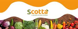 Supermercato Scotta' (S.r.l.)
