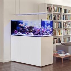 Atlantis il Mondo Sommerso Negozio Acquariologia
