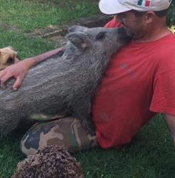 Az. Agr. Il Torrino Di Bibbiani Mauro