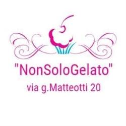 Non Solo Gelato Di Casella Giovanni & C. S.a.s