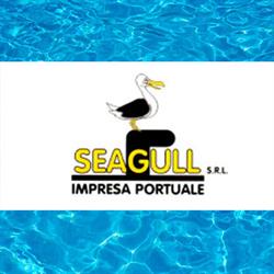 Seagull