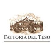 Fattoria del Teso S.r.l Vendita Vini Pregiati