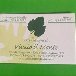 Vivaio il Monte di Monica Dinelli