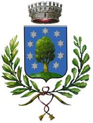 Comune Di Borgo Ticino