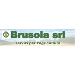Brusola