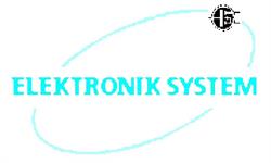 Elektronik System Elettronica per Autogru'