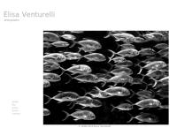 Venturelli Elisa