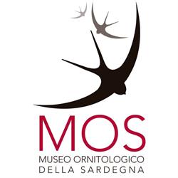Museo Ornitologico Della Sardegna