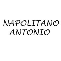 Officina Elettrauto Napolitano Antonio
