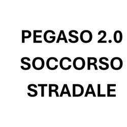 Pegaso 2.0 - Soccorso Stradale