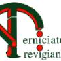 Verniciatura Trevigiana