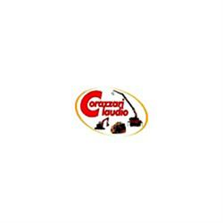 Corazzari Claudio Movimento Terra - Servizio Gru - Noleggio Casse Scarrabili