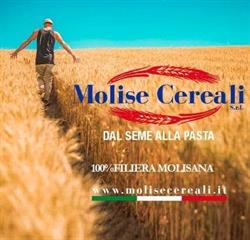 Molise Cereali S.r.l