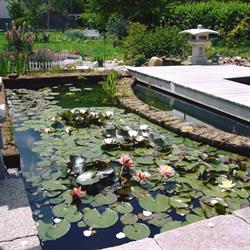 Paradisi D'acqua