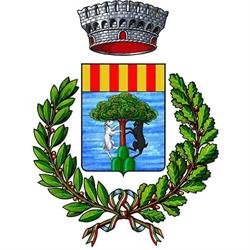 Comune Di Tonara