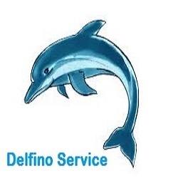 Delfino Service
