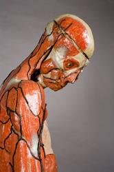 Museo Di Anatomia Umana Luigi Rolando