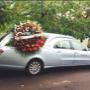 Carro Funebre