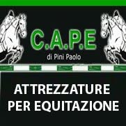 C.A.P.E. di Pini Paolo