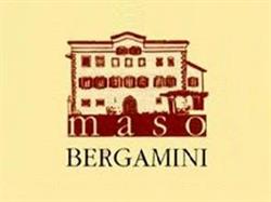 Maso Bergamini di Remo Tomasi