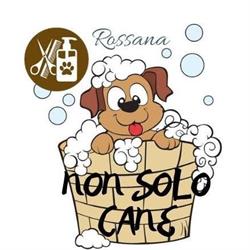 Non Solo Cane Di Malferrari Rossana