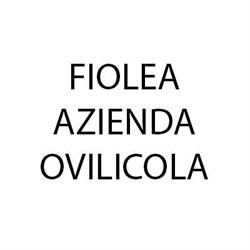 Fiolea - Azienda Olivicola e Gastronomica