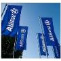 Allianz Bandiere