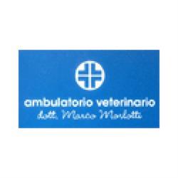 Marco Morlotti Ambulatorio Veterinario